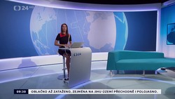 Obrázek