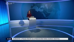 Obrázek