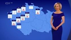 Obrázek