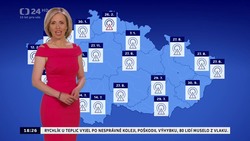 Obrázek