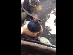 BOSO SA LIKOD NG BAHAY ANG LAKI NG ALAGA