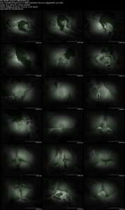 NightPenetration SiteRip