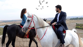 Hercai - Poze oficiale // Rezumate // Fragmente traduse  - Pagina 6 C2c5bf1324449728