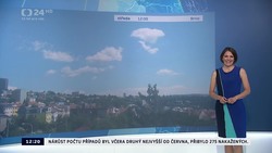 Obrázek