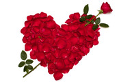 Цветы ко дню Валентина / Valentines flowers B752721352684373