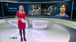 Obrázek