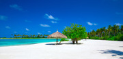 Тропический пляж на Мальдивах / Tropical beach in Maldives B0aa881322864655