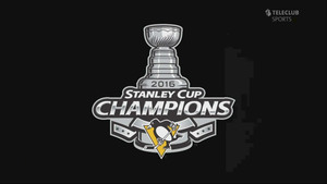 Stanley Cup Championship 2016 Pittsburgh 720p - English C828951346588217