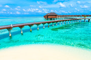 Тропический пляж на Мальдивах / Tropical beach in Maldives Ae1e141322864634