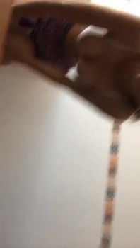 [Image: 17ae881347047858.jpg]