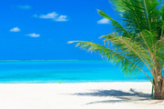 Тропический пляж на Мальдивах / Tropical beach in Maldives 8d15b81322864639
