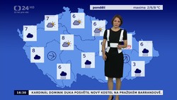 Obrázek