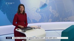 Obrázek