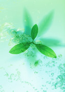 Вода, воздух и зелень / Water, Air and Greenery 762f7b1322863086