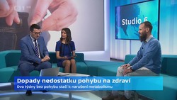Obrázek