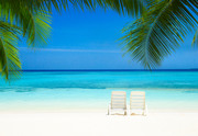 Тропический пляж на Мальдивах / Tropical beach in Maldives Fd91111322864670
