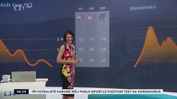 Obrázek