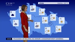 Obrázek