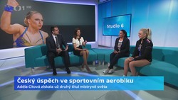 Obrázek
